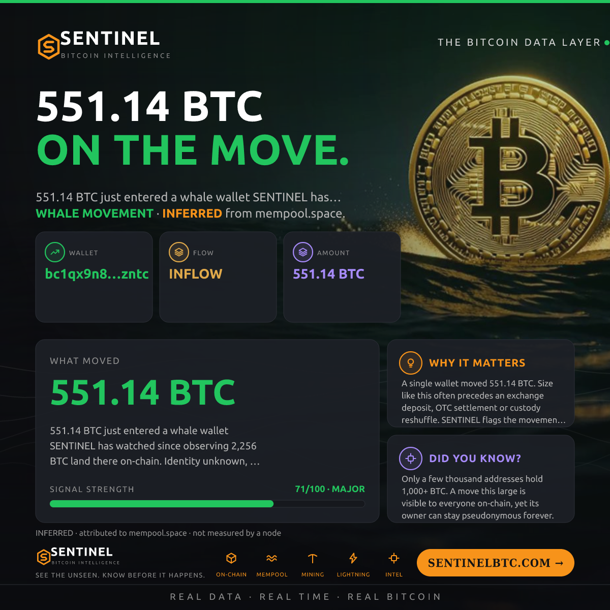 WHALE WALLET: 551.14 BTC IN