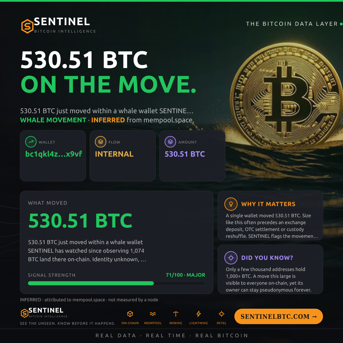 WHALE WALLET: 530.51 BTC SHUFFLED