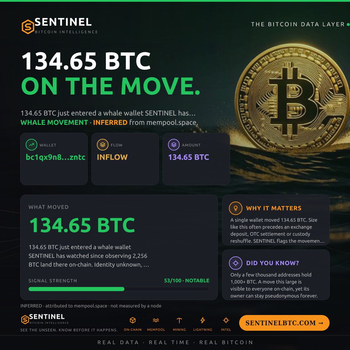 WHALE WALLET: 134.65 BTC IN