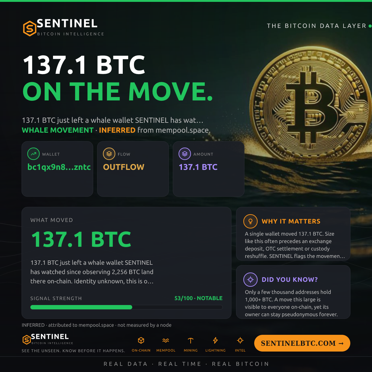 WHALE WALLET: 137.1 BTC OUT