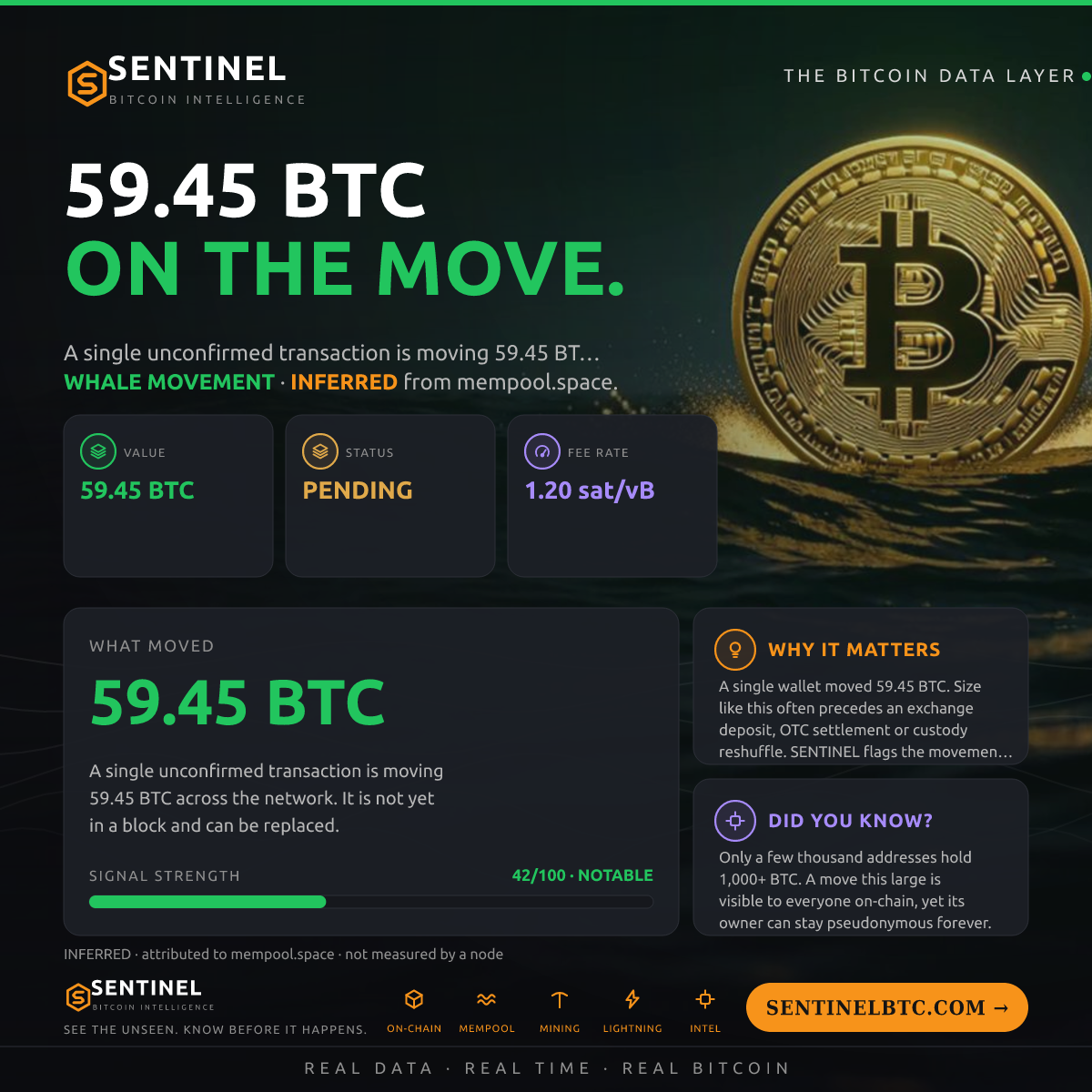 59.45 BTC ENTERED THE MEMPOOL