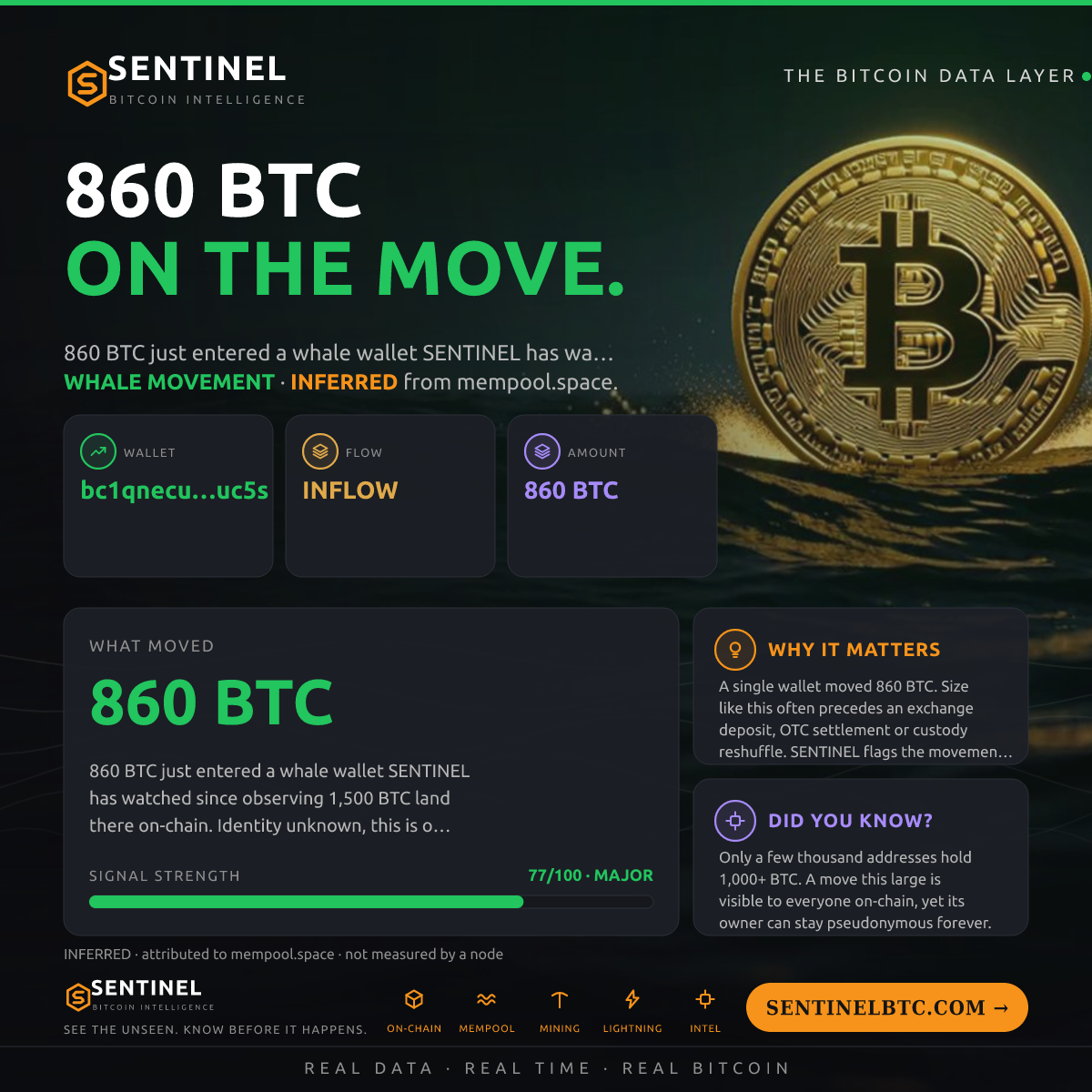 WHALE WALLET: 860 BTC IN