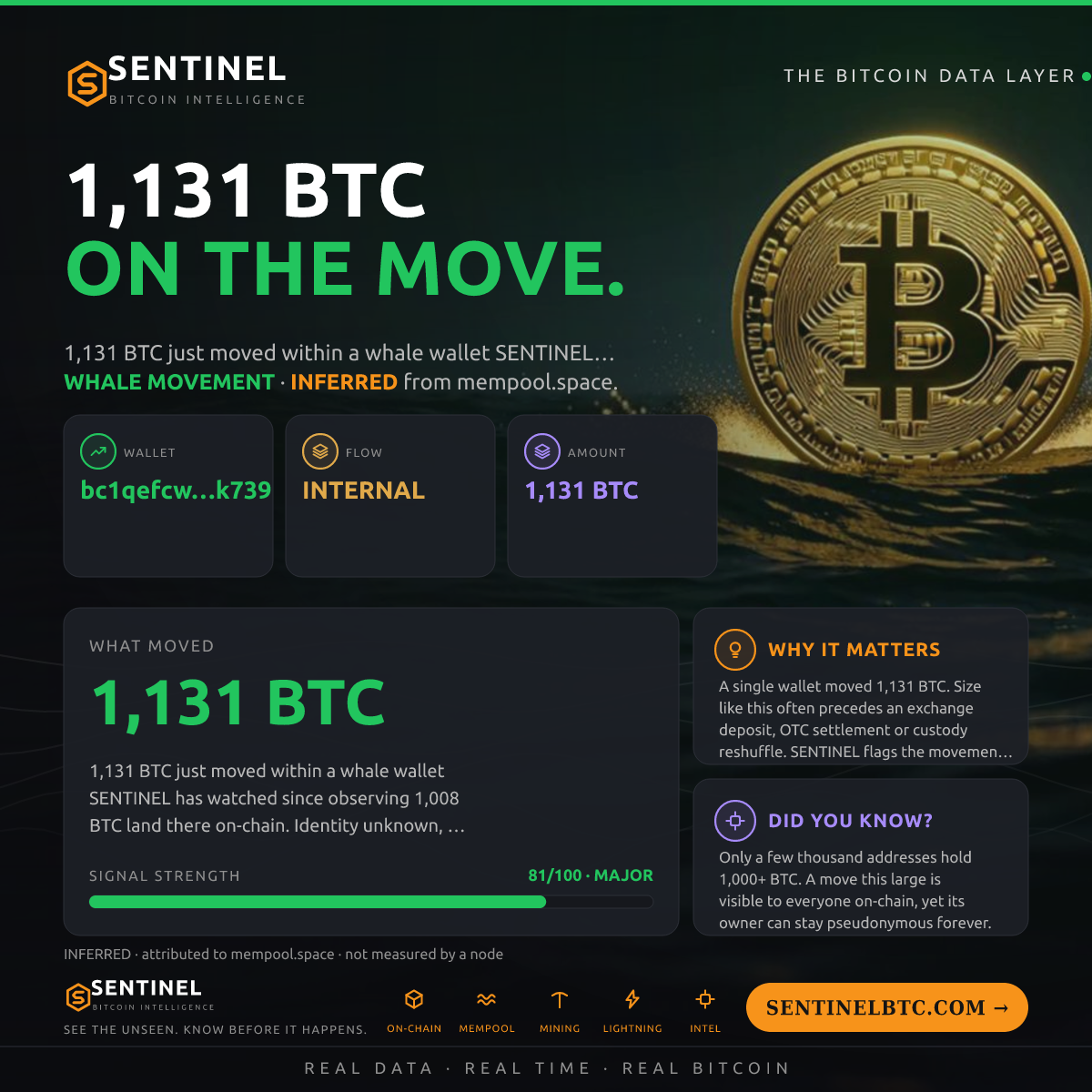 WHALE WALLET: 1,131 BTC SHUFFLED