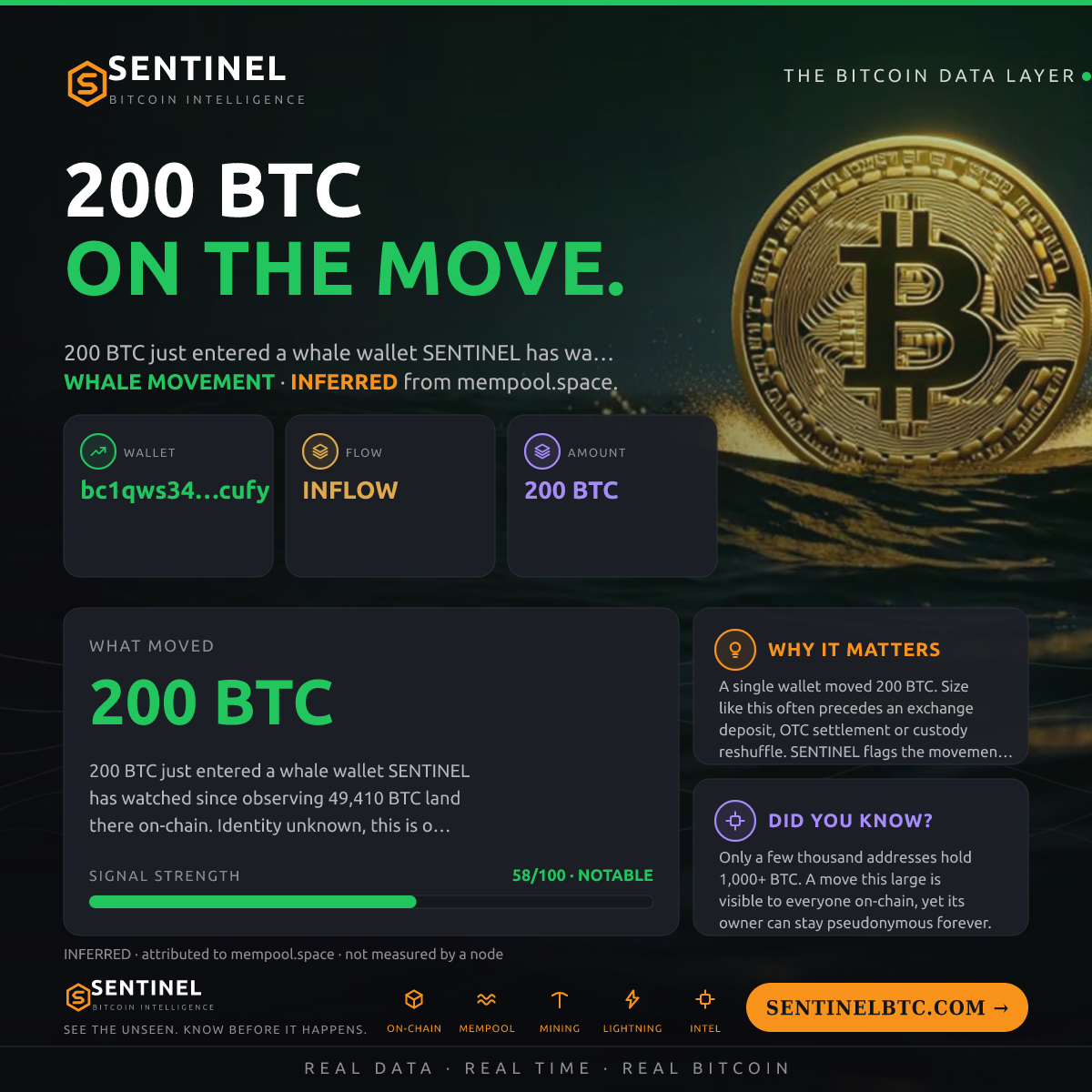 WHALE WALLET: 200 BTC IN