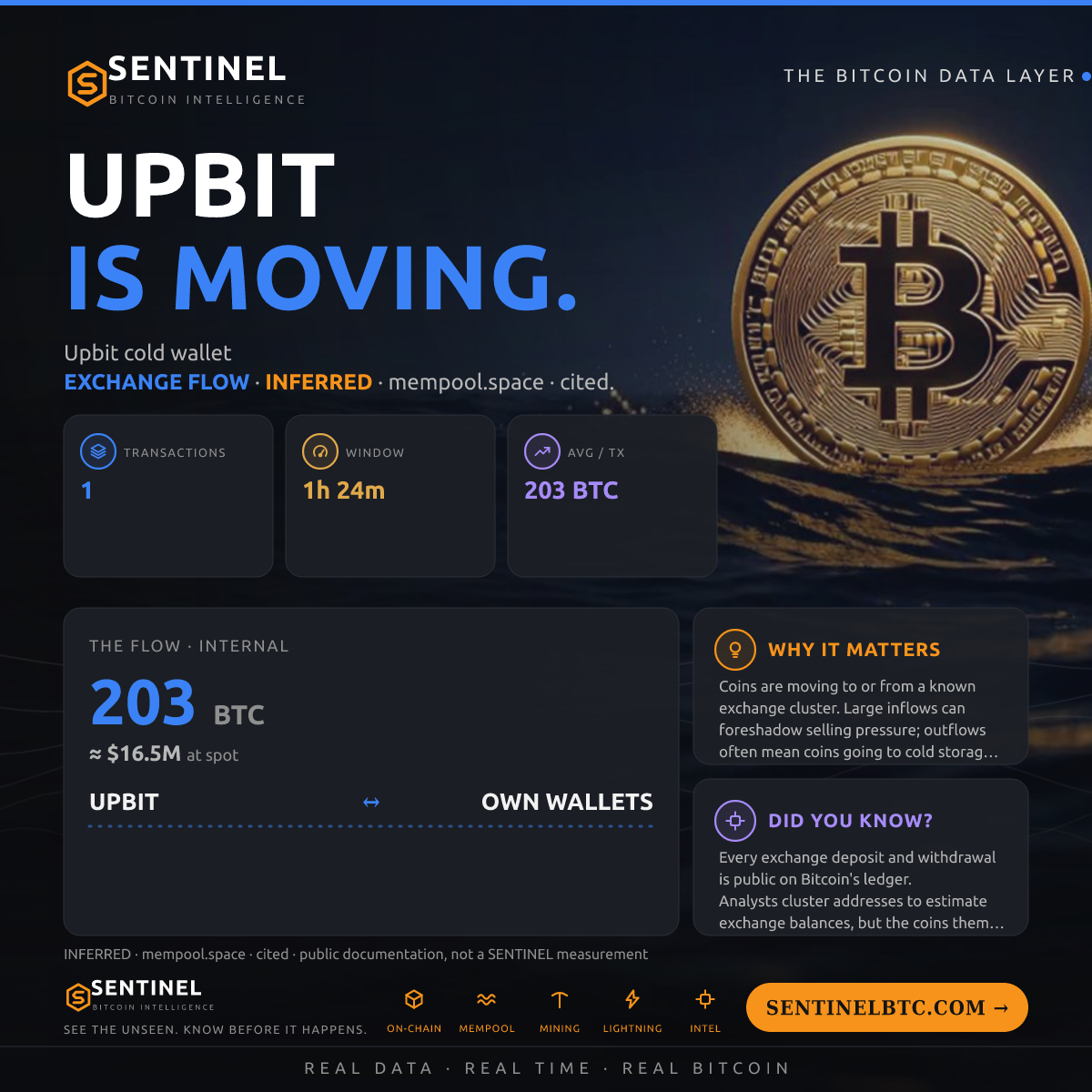 UPBIT: 203.1 BTC MOVED
