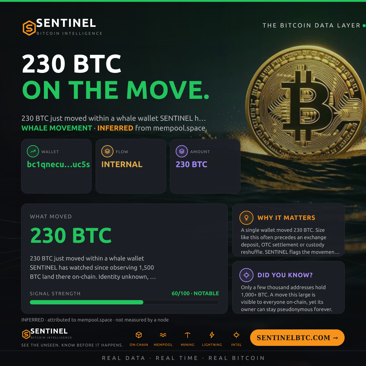 WHALE WALLET: 230 BTC SHUFFLED