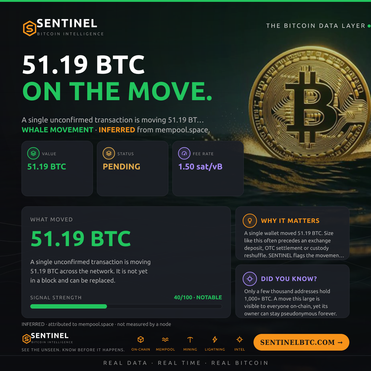 51.19 BTC ENTERED THE MEMPOOL