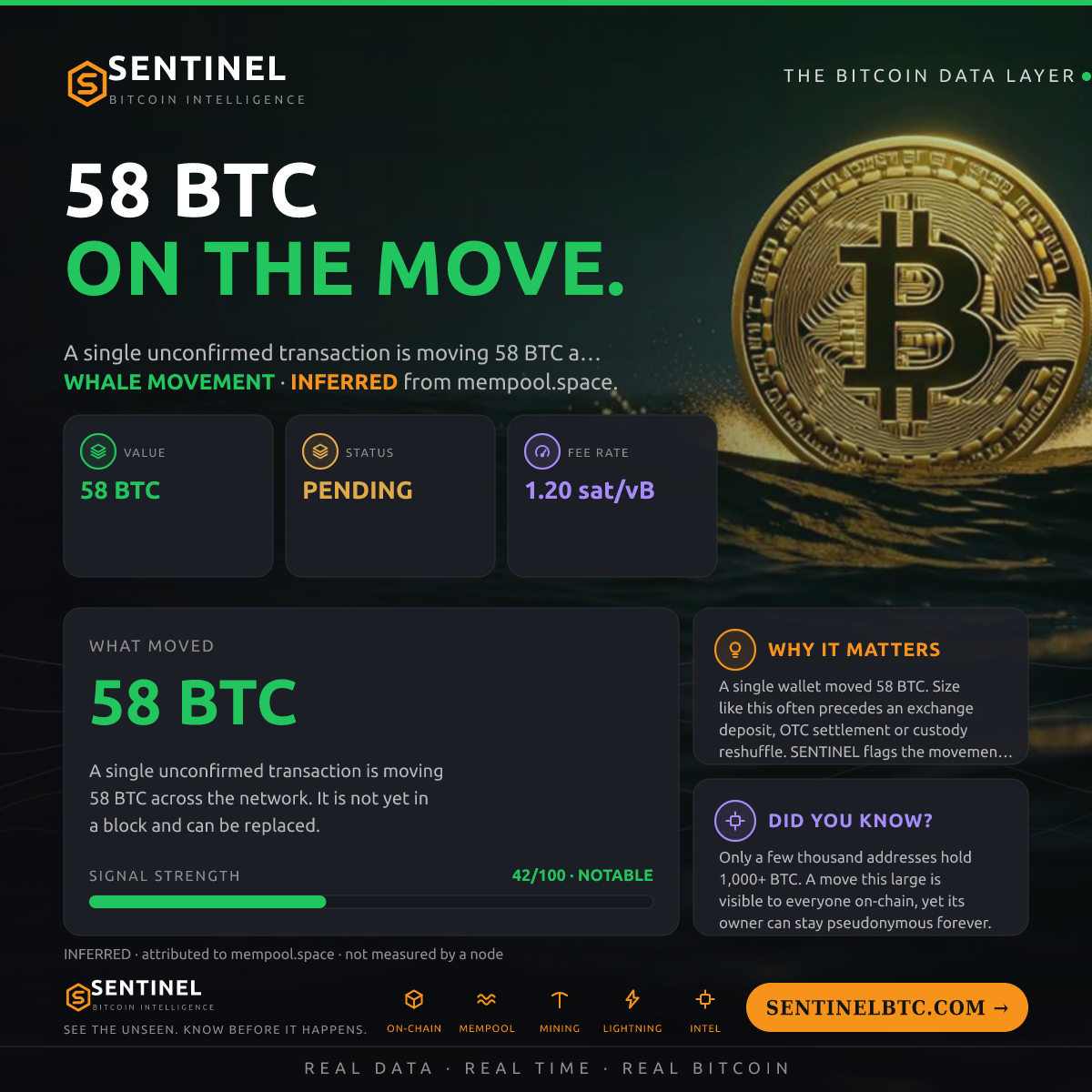 58 BTC ENTERED THE MEMPOOL