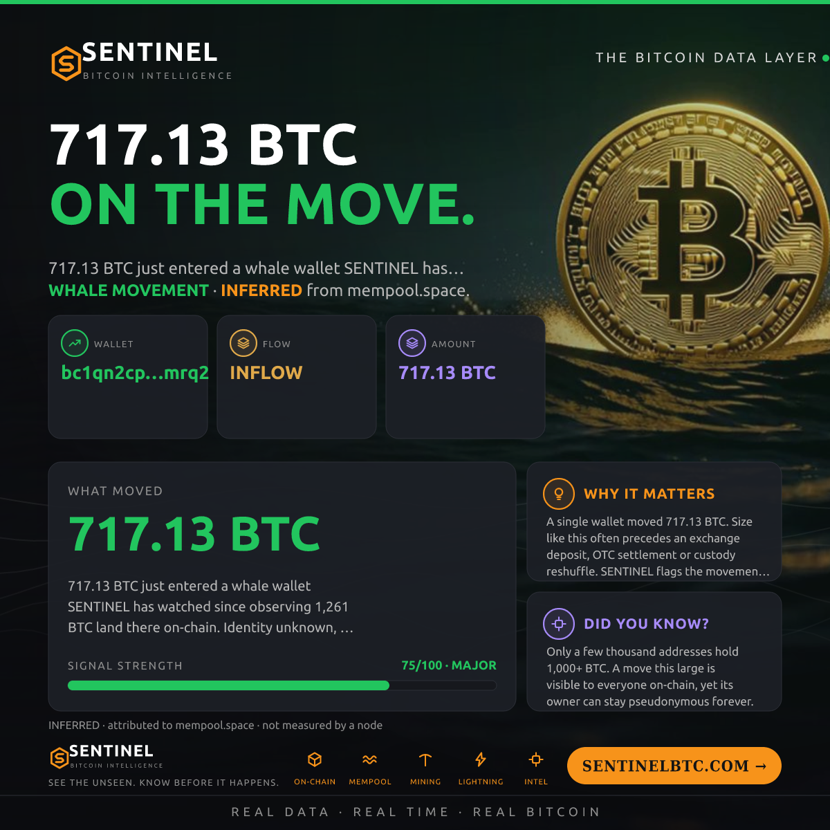 WHALE WALLET: 717.13 BTC IN