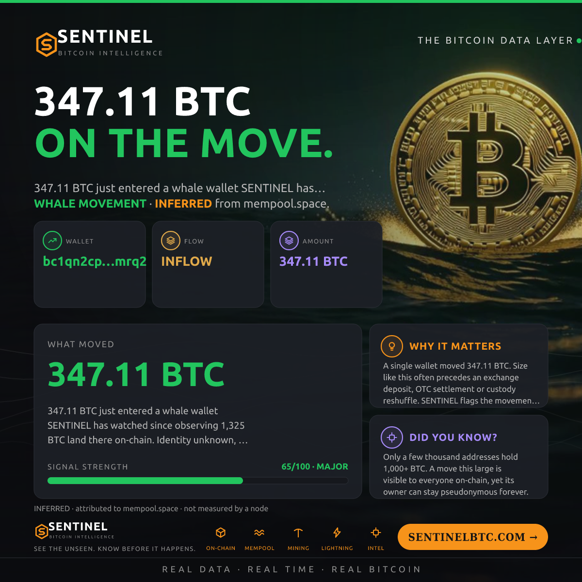 WHALE WALLET: 347.11 BTC IN