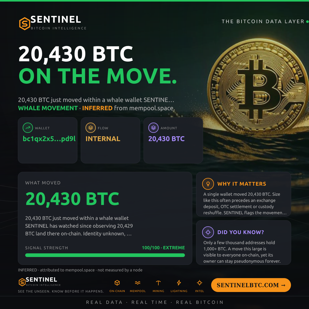WHALE WALLET: 20,430 BTC SHUFFLED