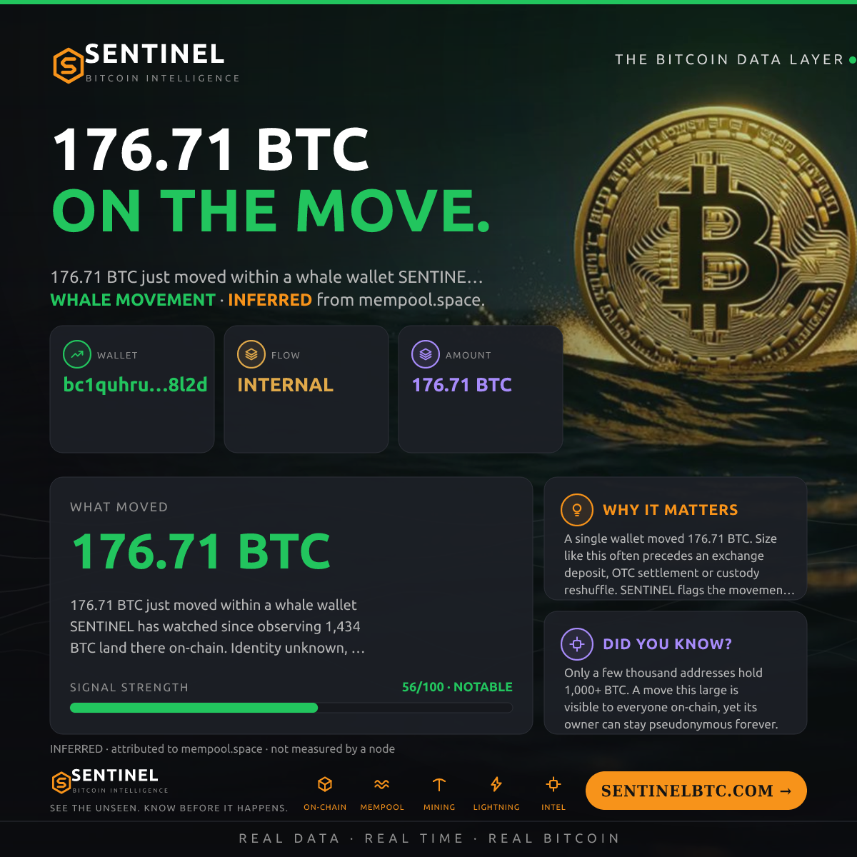 WHALE WALLET: 176.71 BTC SHUFFLED