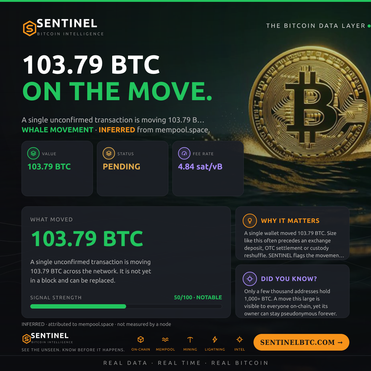 103.79 BTC ENTERED THE MEMPOOL