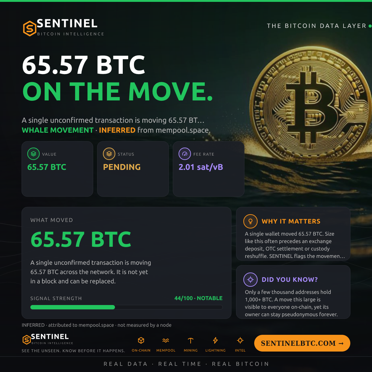 65.57 BTC ENTERED THE MEMPOOL