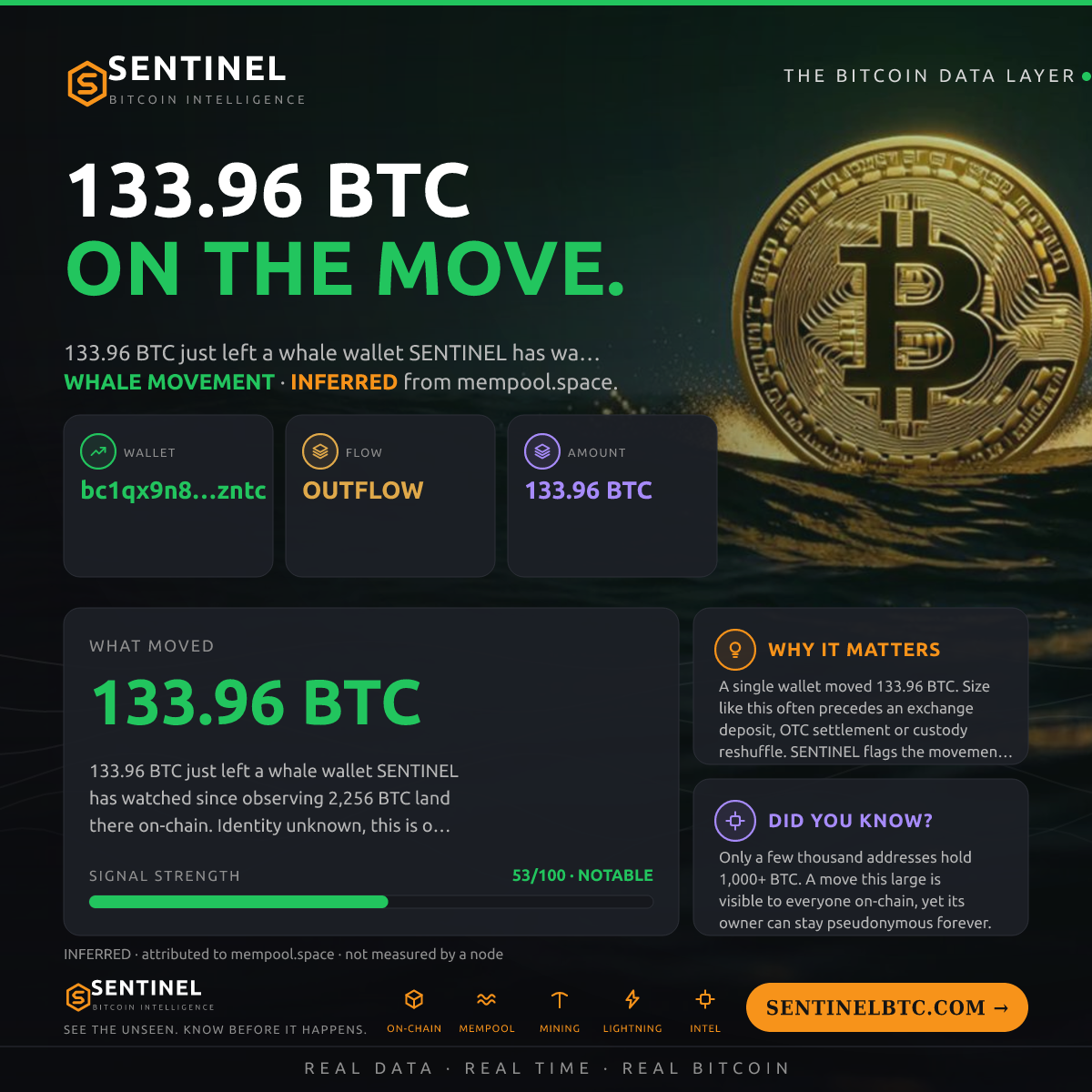 WHALE WALLET: 133.96 BTC OUT